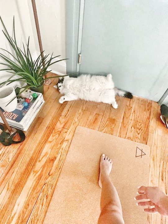 animal friendly yoga mat