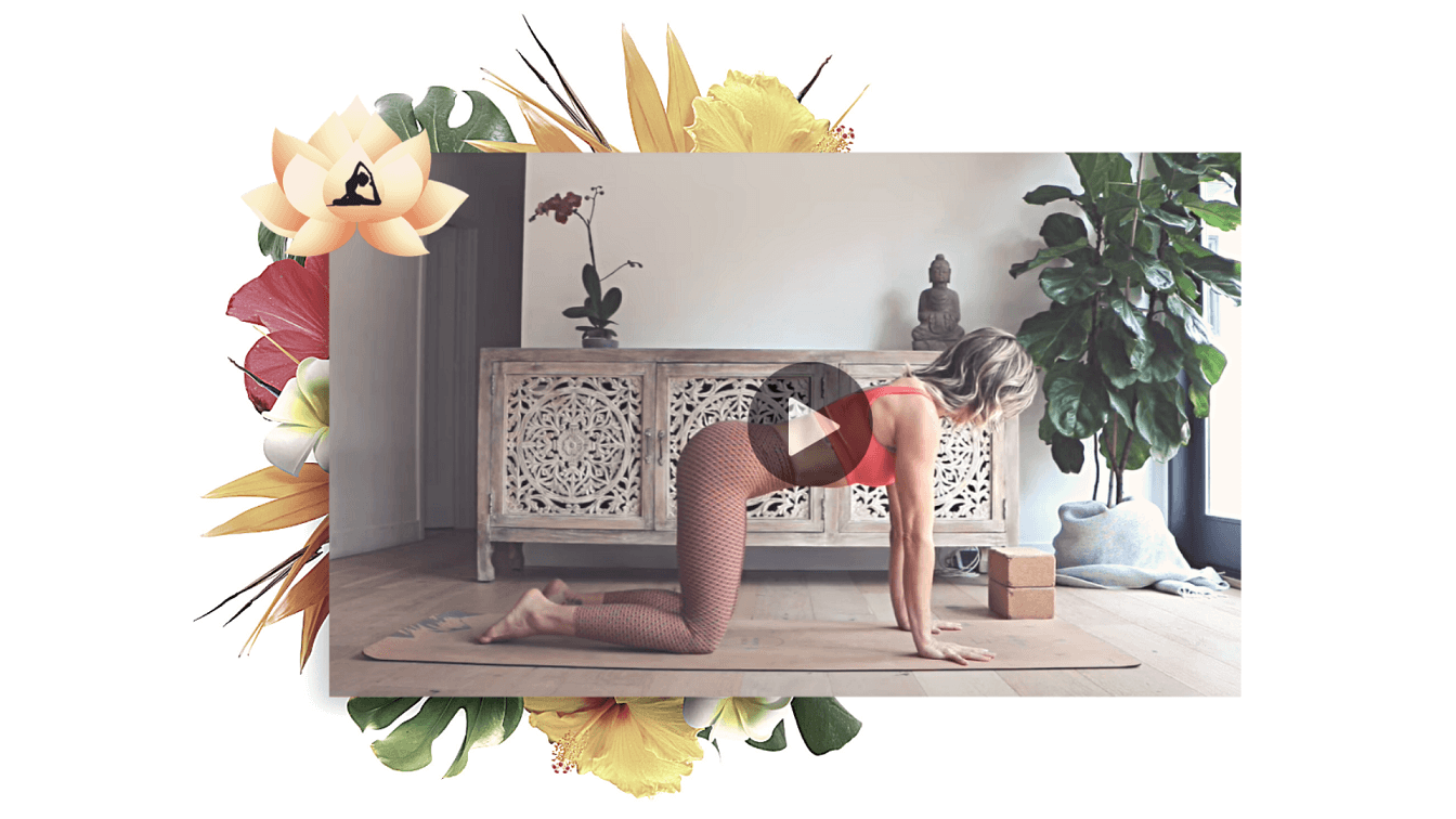 studio feature _beginner yoga (