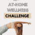 a mini wellness challenge cover