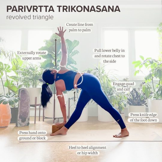 7 Yoga Poses Every Yogi Should Know | the urbivore