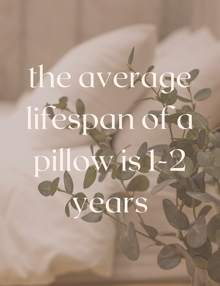 Average Pillow Lifespan