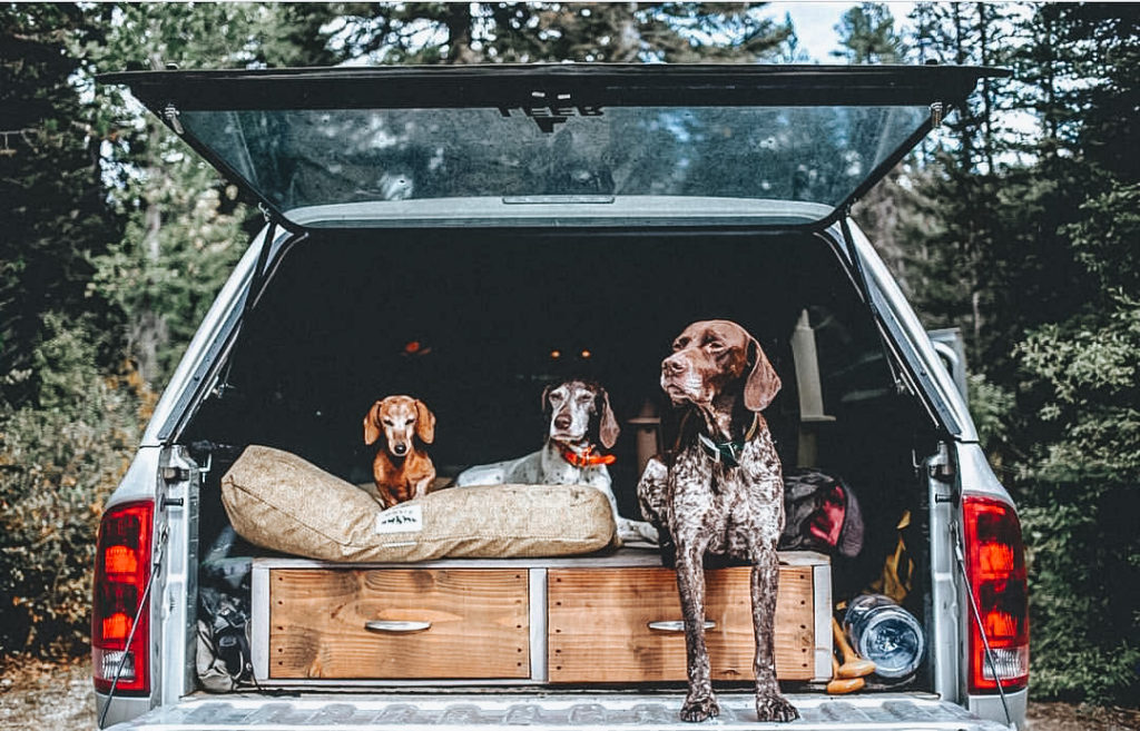 Orvis Chew Proof Dog Bed
