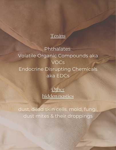 Toxins in your pillow